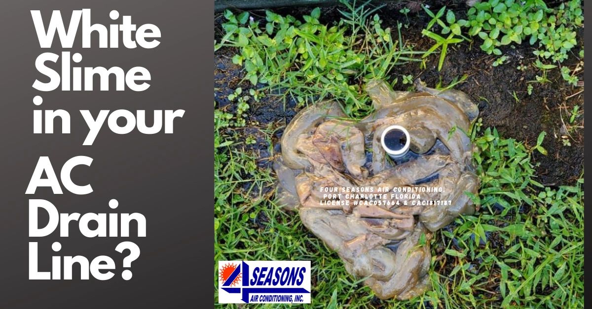 Clogged Drain Line? White slime ac drainline?